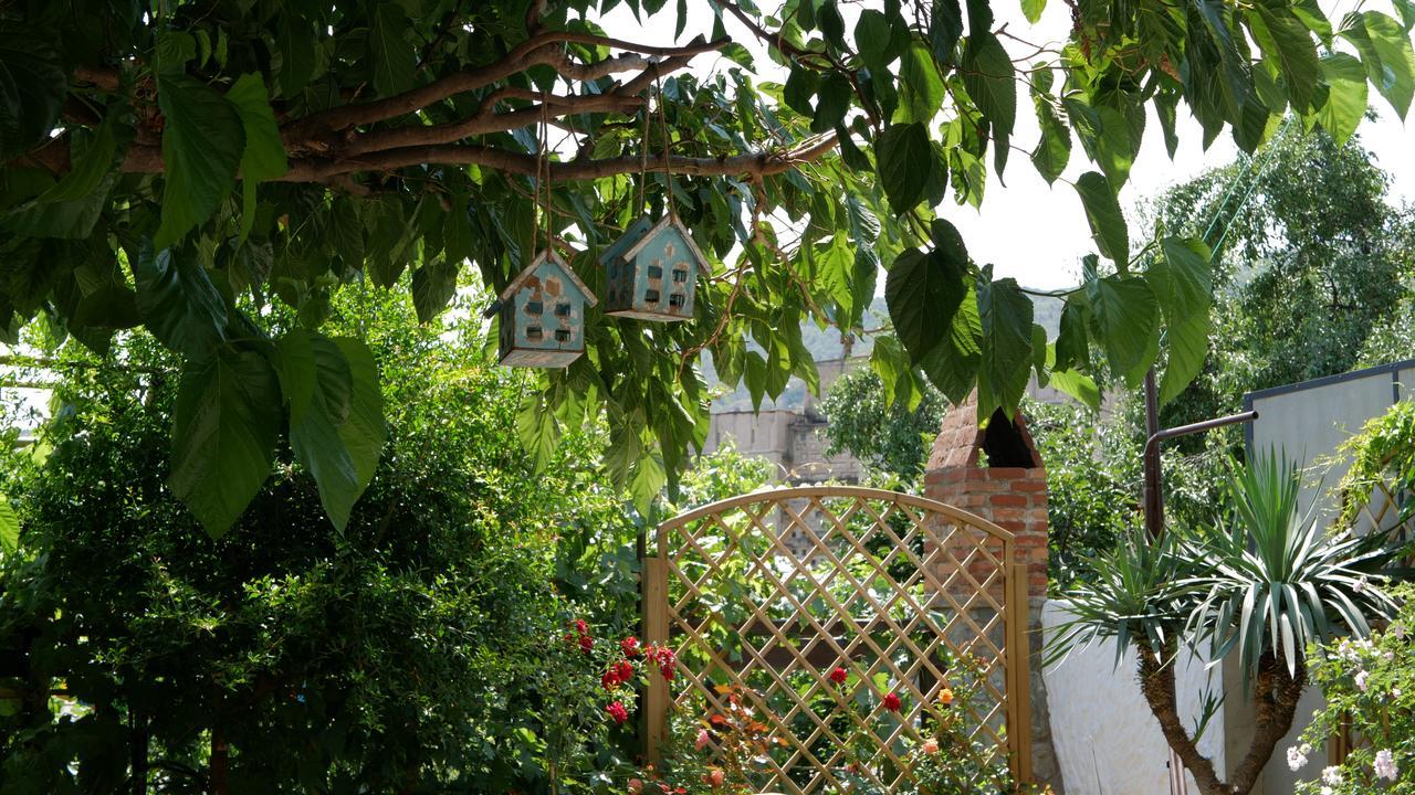 My Garden Hotell Tbilisi Exteriör bild