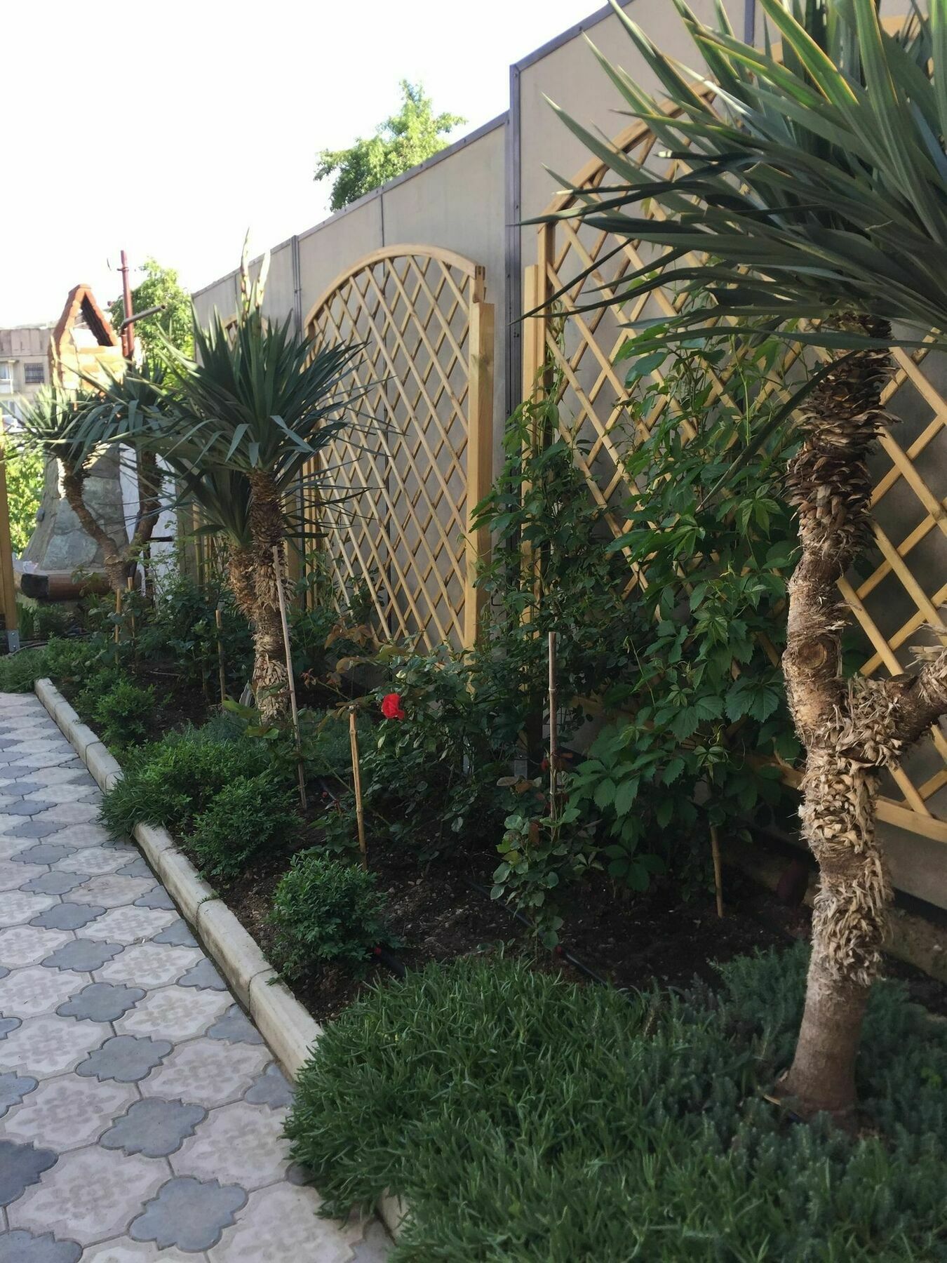 My Garden Hotell Tbilisi Exteriör bild