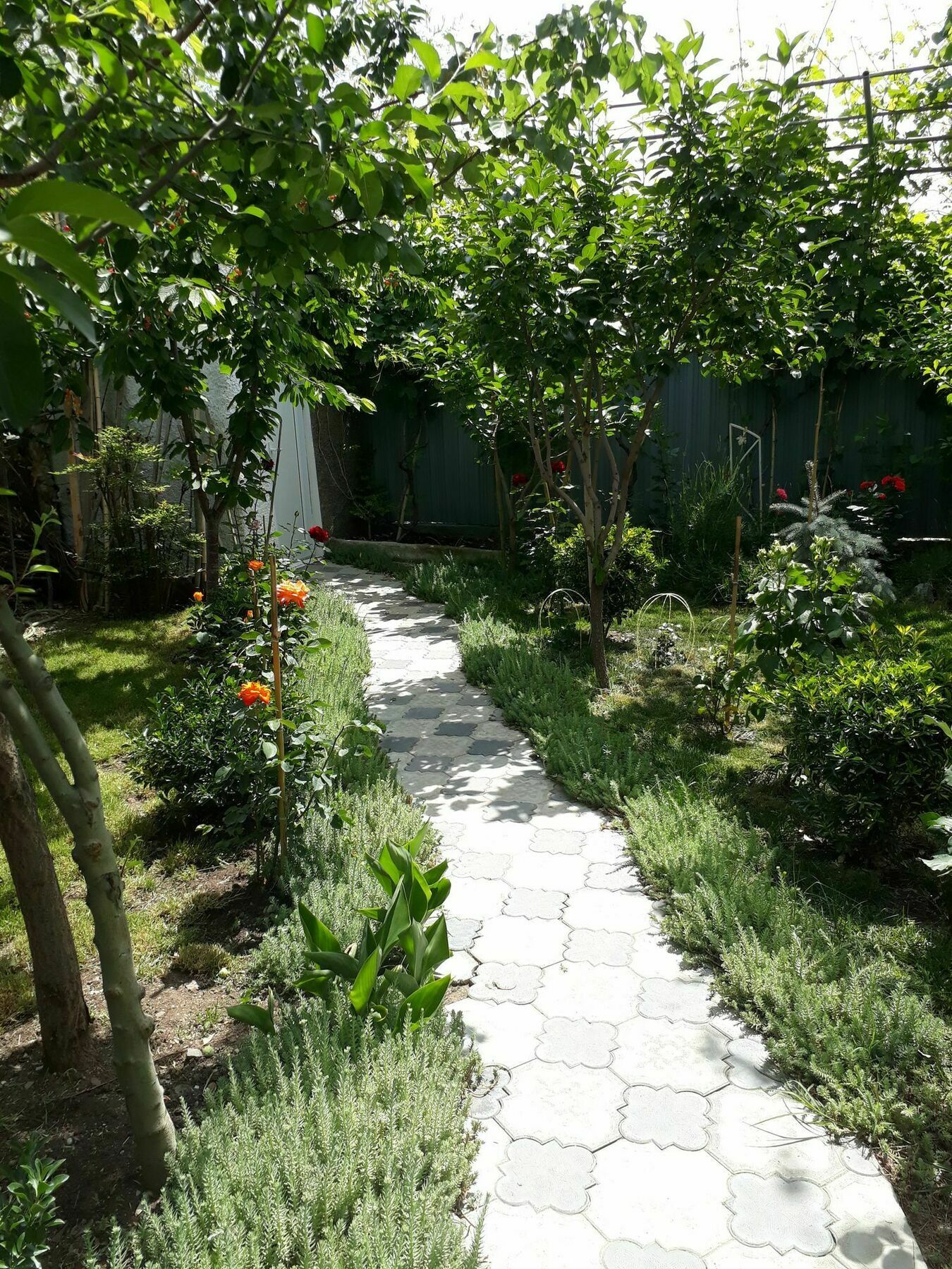 My Garden Hotell Tbilisi Exteriör bild