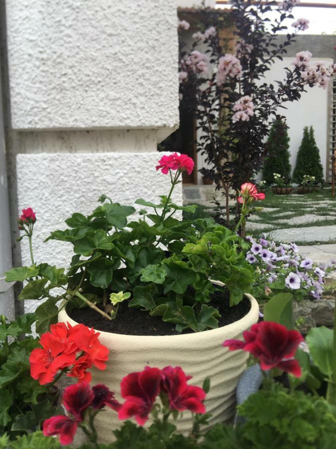 My Garden Hotell Tbilisi Exteriör bild