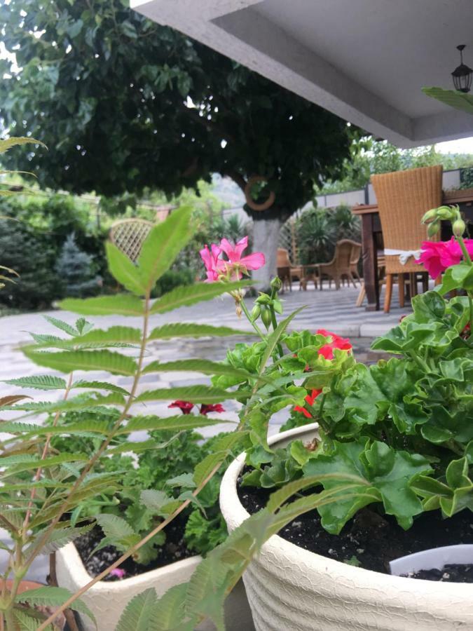 My Garden Hotell Tbilisi Exteriör bild