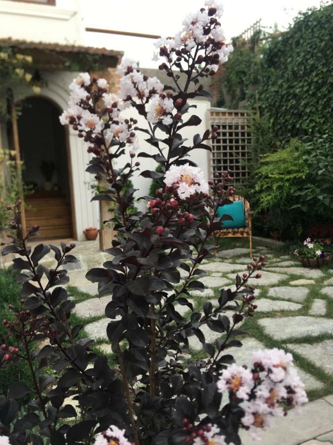 My Garden Hotell Tbilisi Exteriör bild